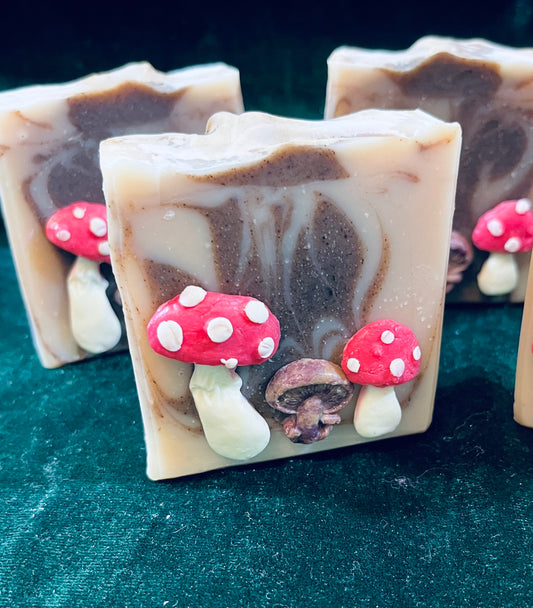 Chaga Mushroom Soap Bar - Fragrance Free